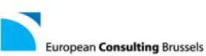 European Consulting Brussels